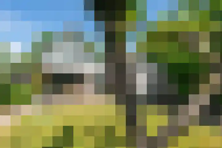 Wielingenweg 233 Alkmaar thumbnail 36