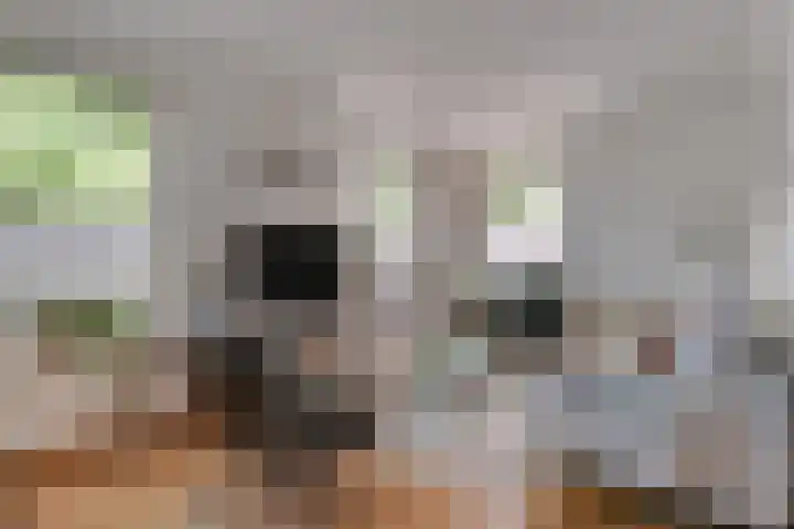 Wielingenweg 233 Alkmaar thumbnail 4