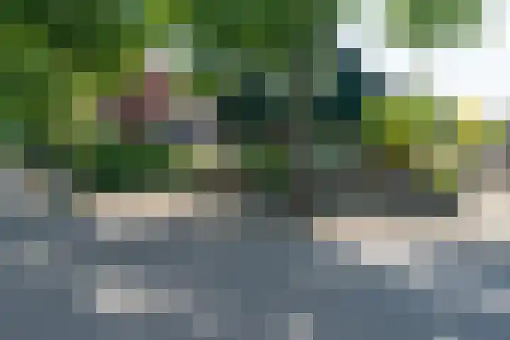 Wielingenweg 233 Alkmaar thumbnail 41