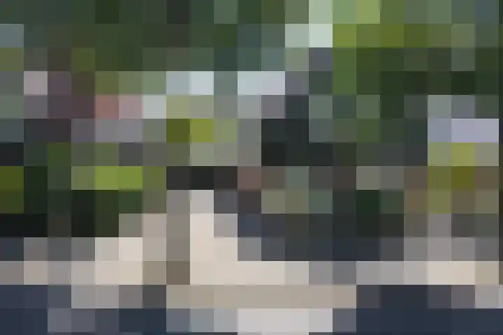 Wielingenweg 233 Alkmaar thumbnail 42