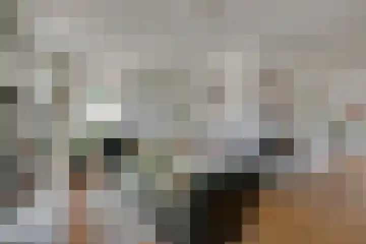 Wielingenweg 233 Alkmaar thumbnail 5