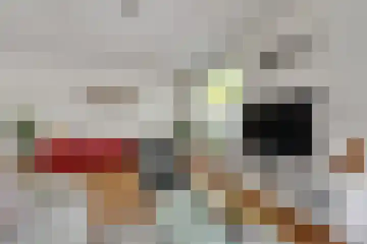 Wielingenweg 233 Alkmaar thumbnail 6