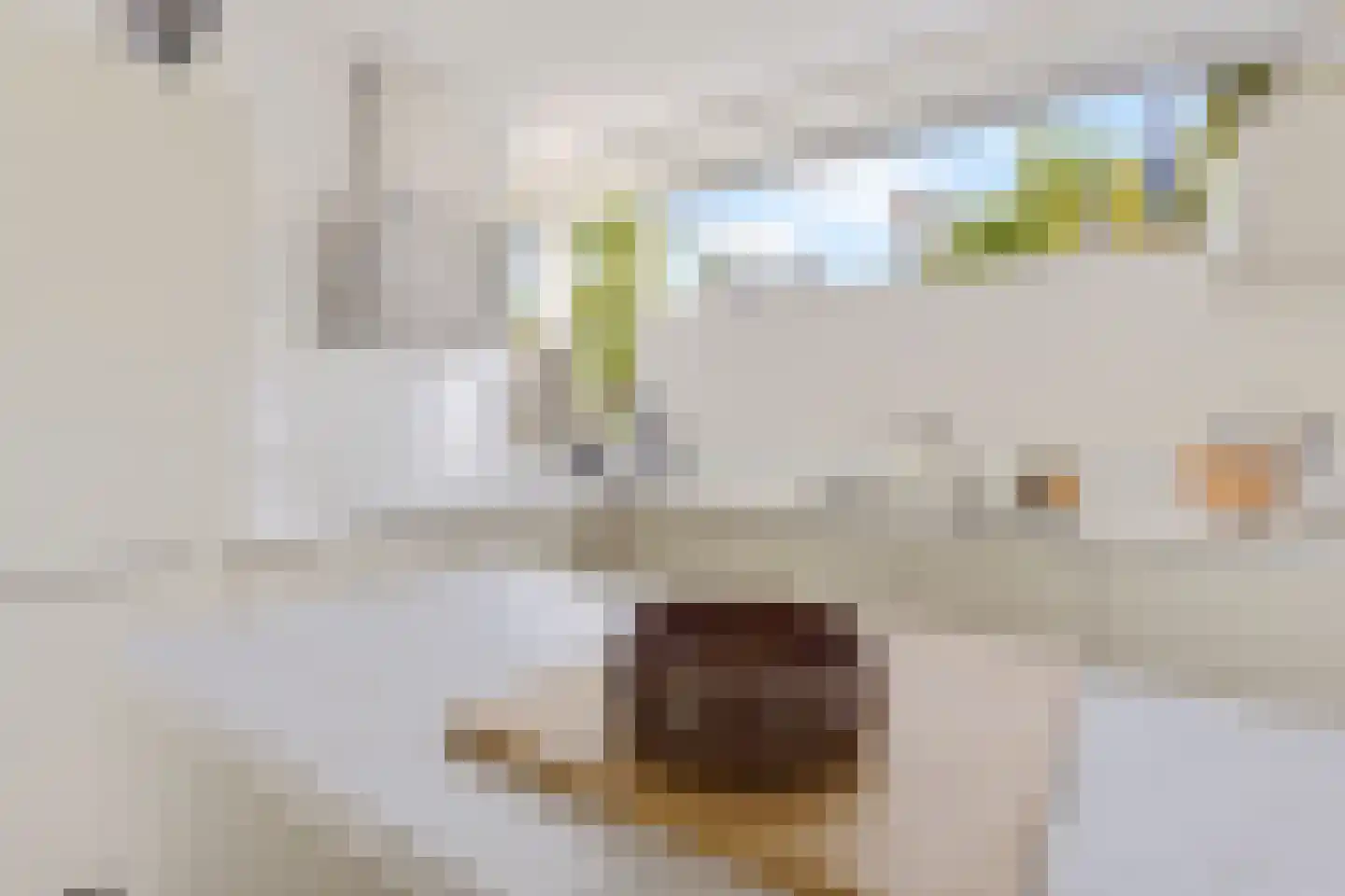 Wielingenweg 296 Alkmaar thumbnail 13