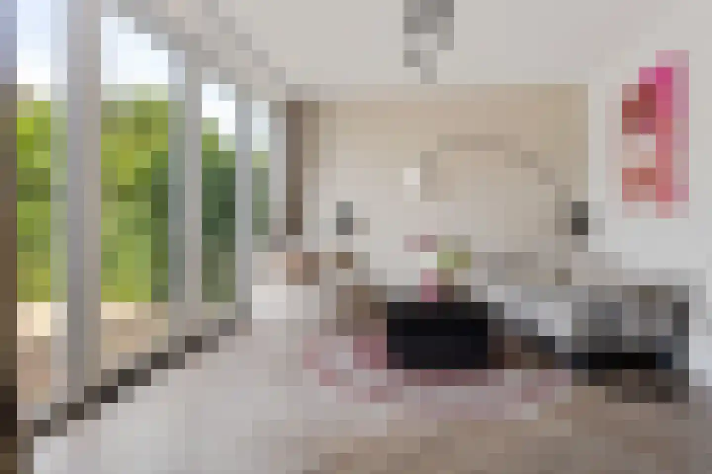 Wielingenweg 296 Alkmaar thumbnail 21