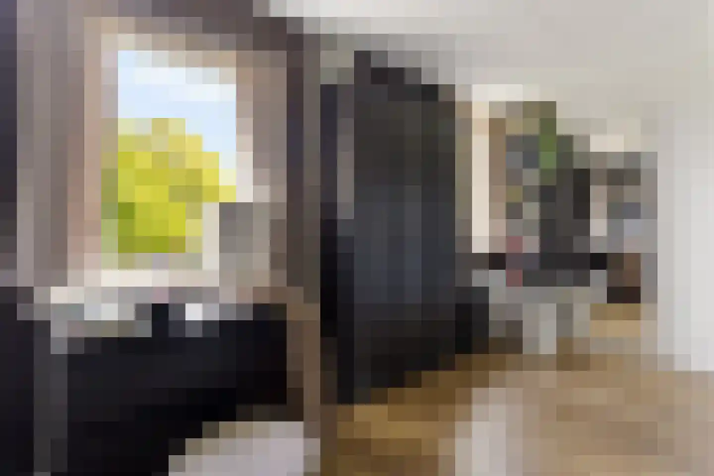 Wielingenweg 296 Alkmaar thumbnail 32