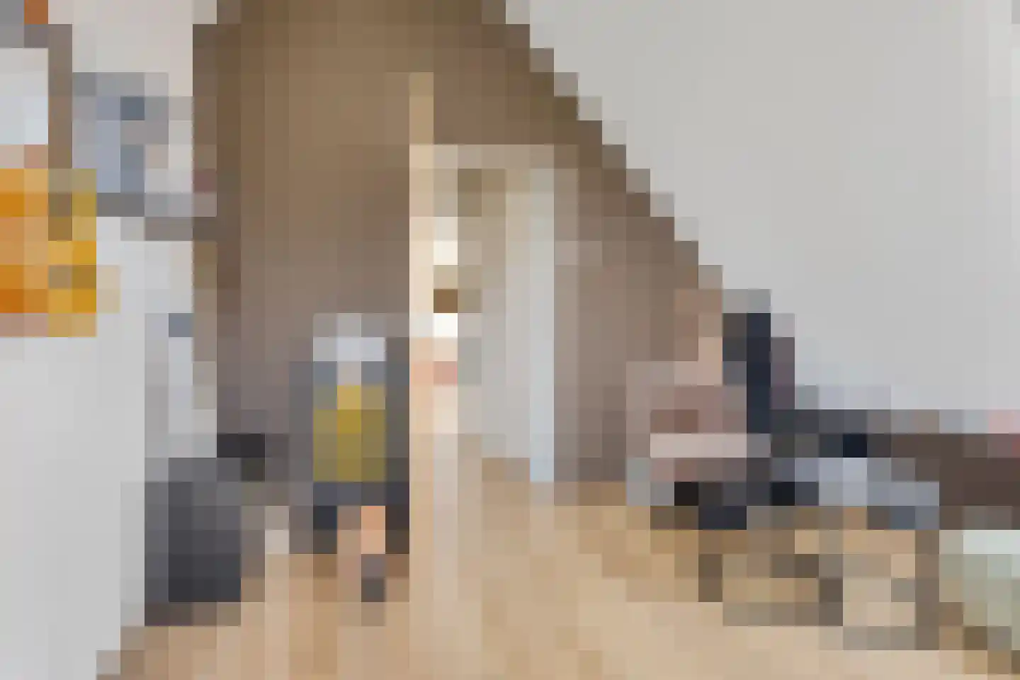 Wielingenweg 296 Alkmaar thumbnail 37