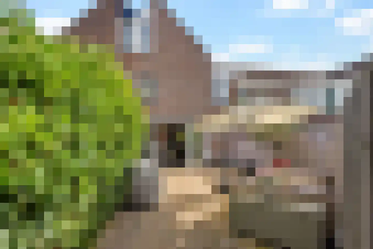 Wielingenweg 296 Alkmaar thumbnail 41