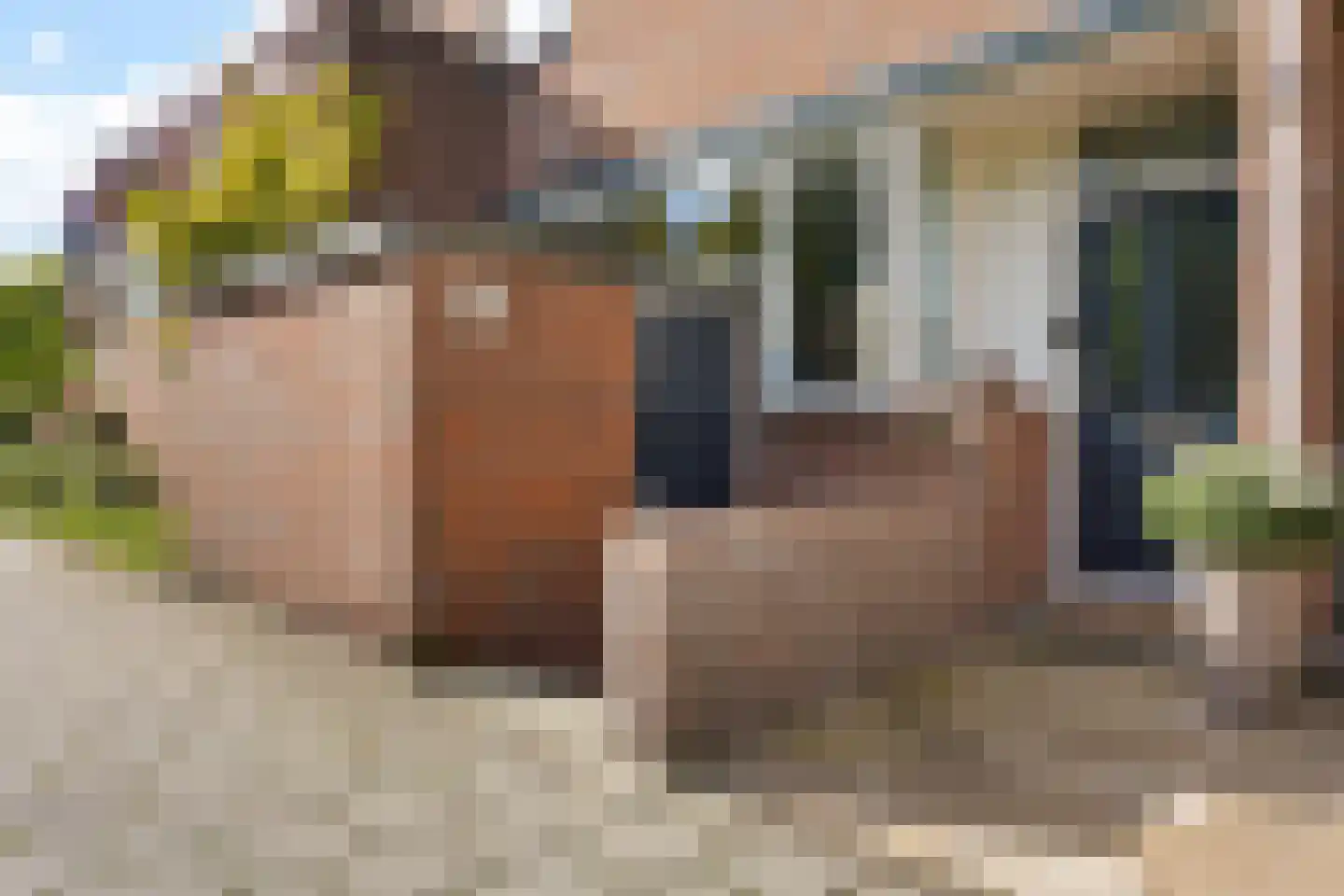 Wielingenweg 296 Alkmaar thumbnail 7