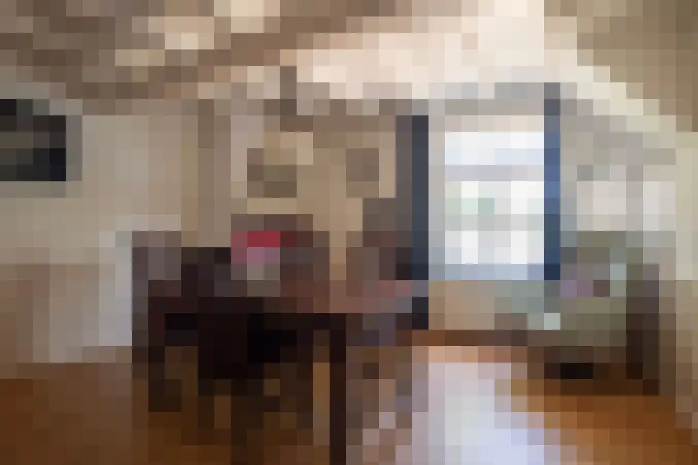 Wielpad 2 Boven-Leeuwen thumbnail 10