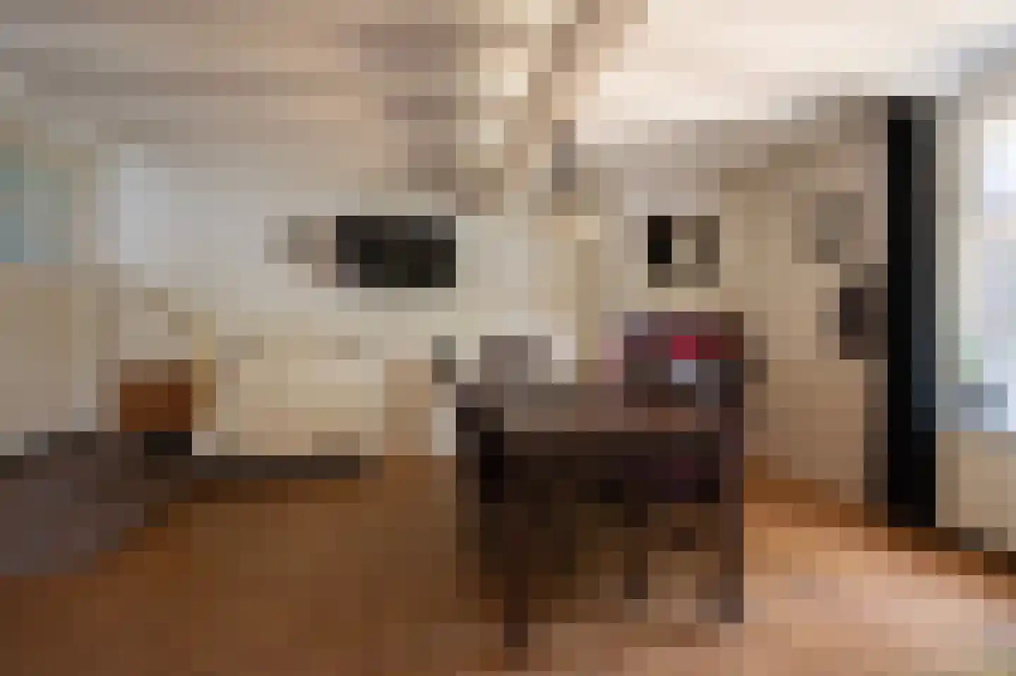 Wielpad 2 Boven-Leeuwen thumbnail 10