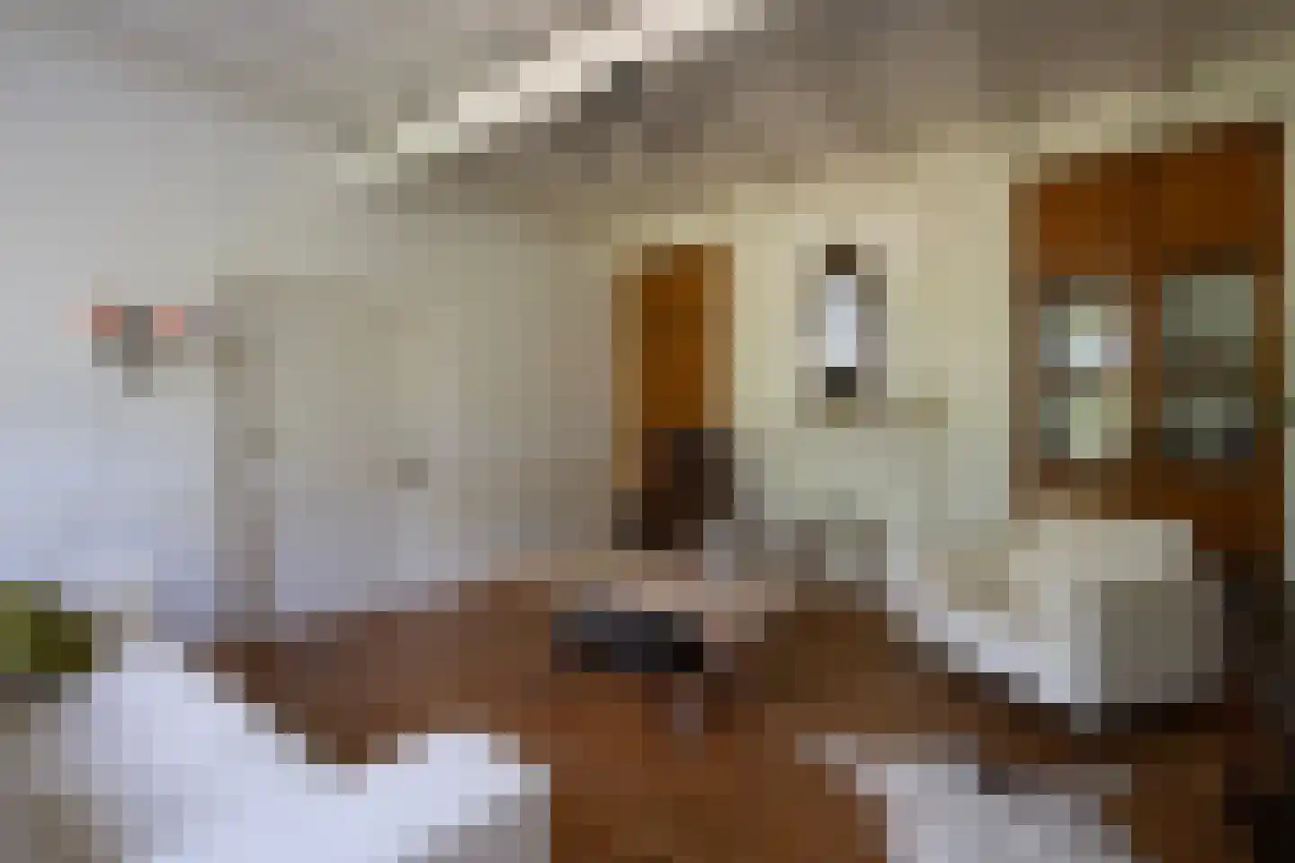 Wielpad 2 Boven-Leeuwen thumbnail 13