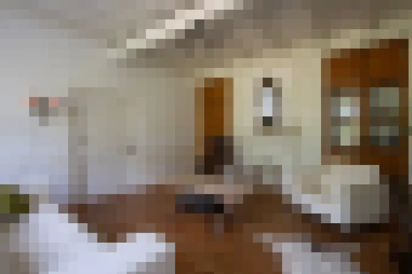 Wielpad 2 Boven-Leeuwen thumbnail 14