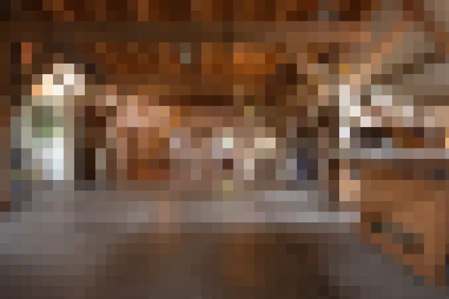 Wielpad 2 Boven-Leeuwen thumbnail 19