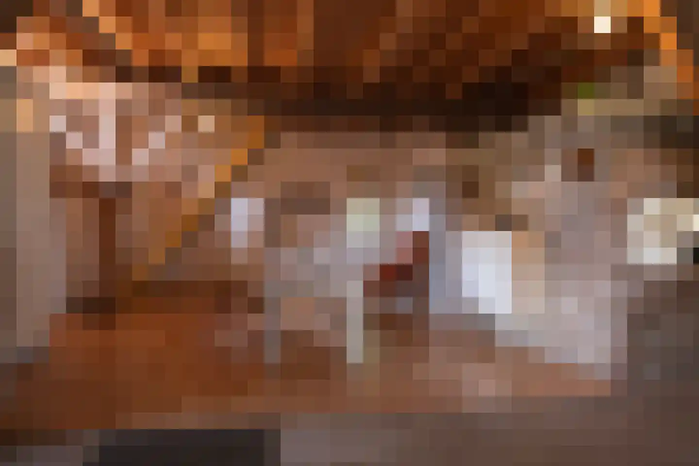 Wielpad 2 Boven-Leeuwen thumbnail 20