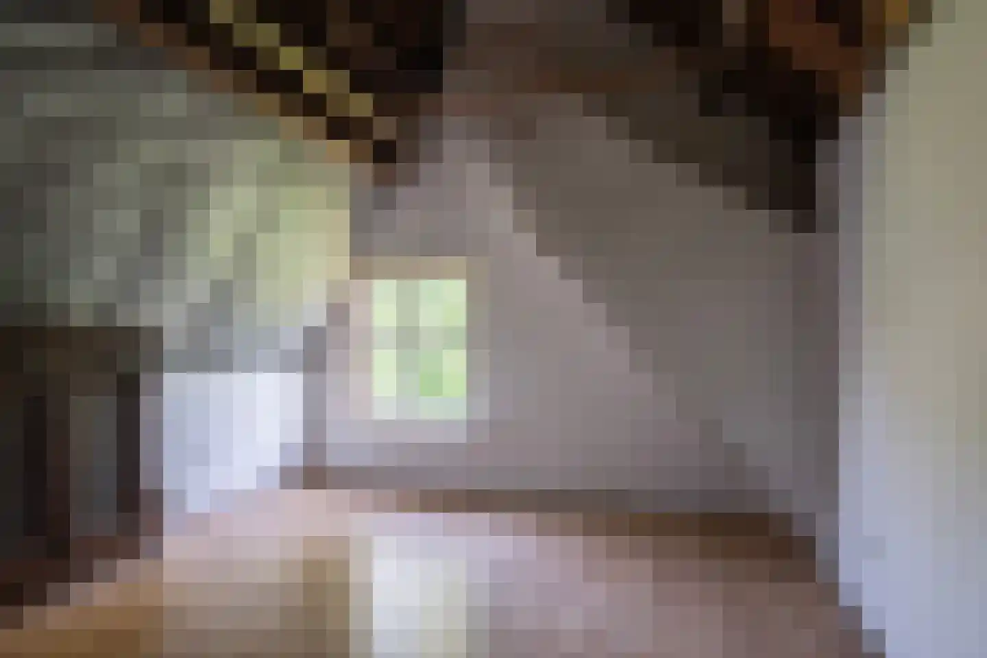 Wielpad 2 Boven-Leeuwen thumbnail 27