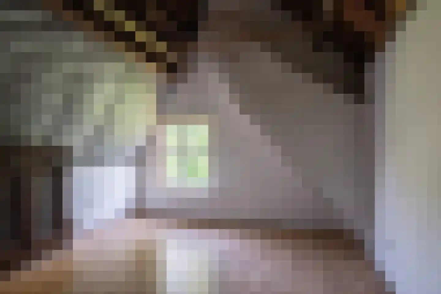Wielpad 2 Boven-Leeuwen thumbnail 28