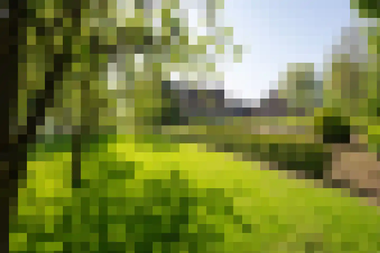 Wielpad 2 Boven-Leeuwen thumbnail 32