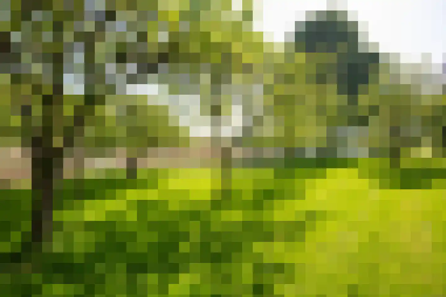 Wielpad 2 Boven-Leeuwen thumbnail 33
