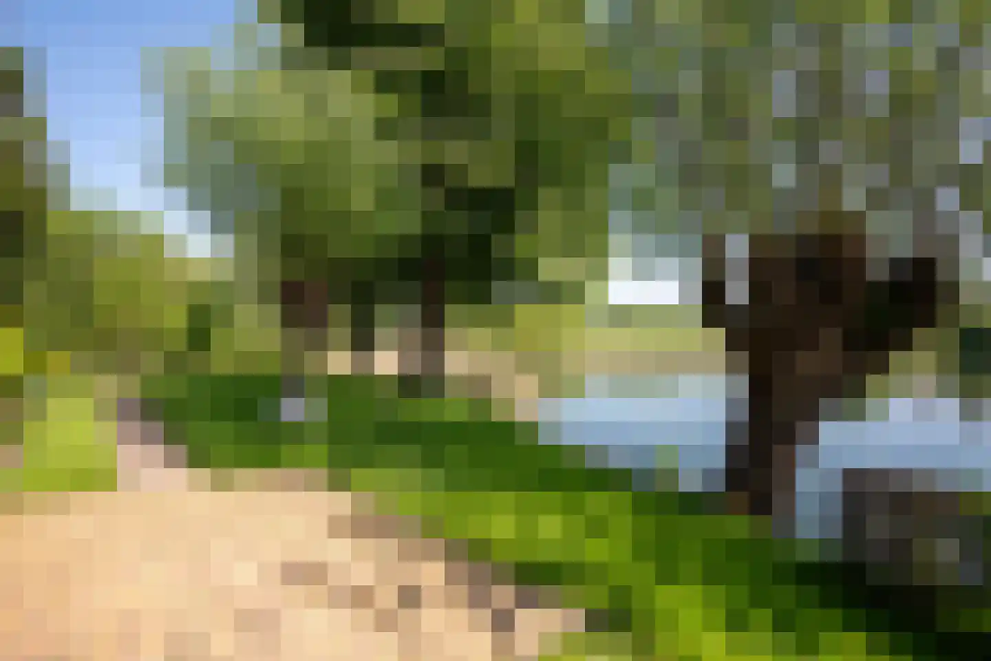 Wielpad 2 Boven-Leeuwen thumbnail 34
