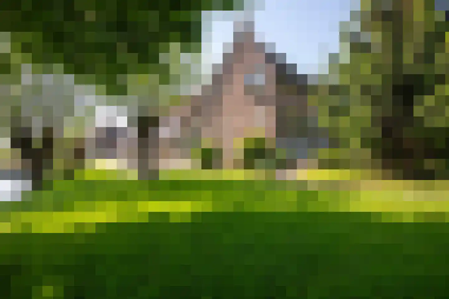 Wielpad 2 Boven-Leeuwen thumbnail 36