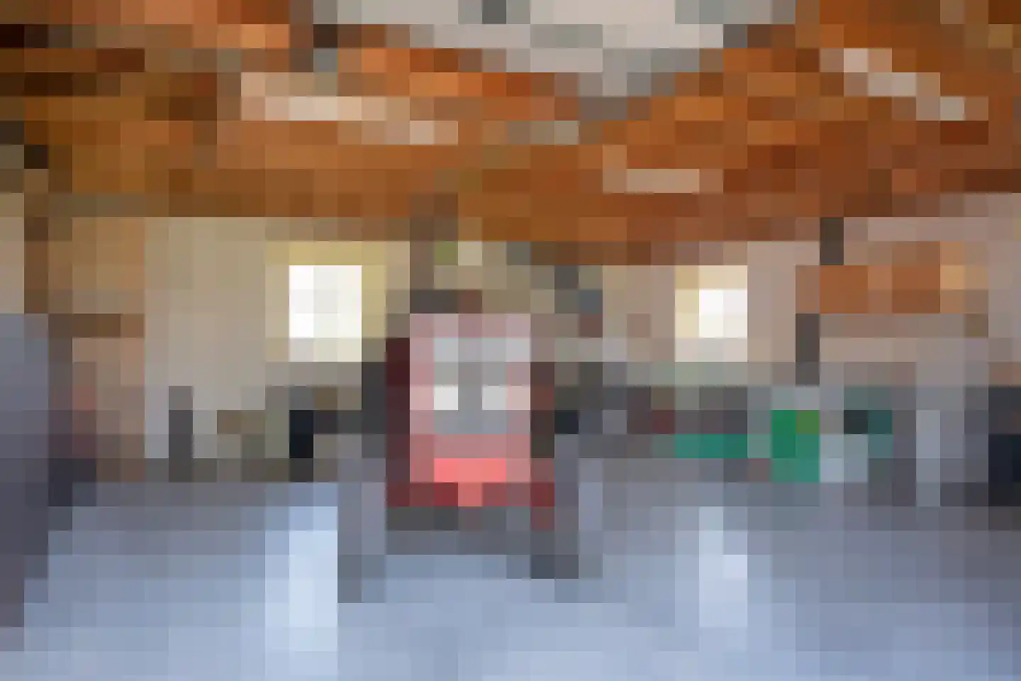 Wielpad 2 Boven-Leeuwen thumbnail 43
