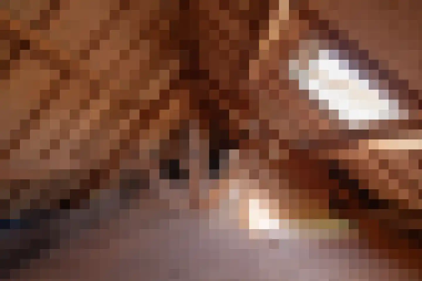 Wielpad 2 Boven-Leeuwen thumbnail 45