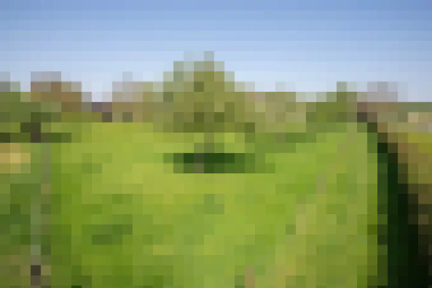 Wielpad 2 Boven-Leeuwen thumbnail 48