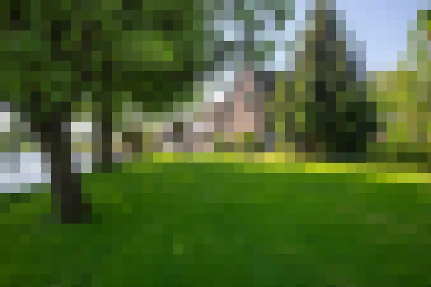 Wielpad 2 Boven-Leeuwen thumbnail 5