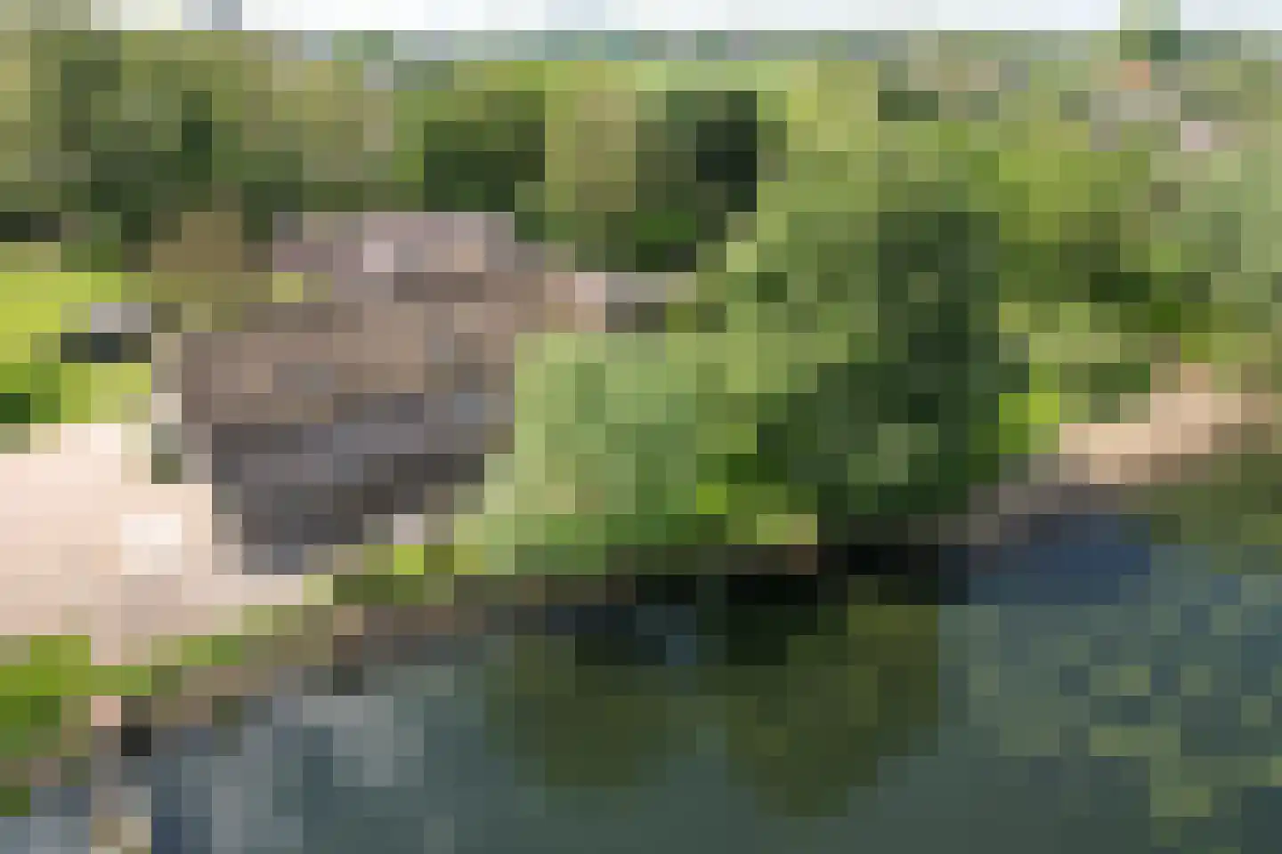 Wielpad 2 Boven-Leeuwen thumbnail 51