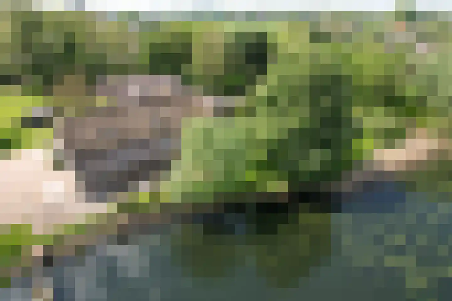 Wielpad 2 Boven-Leeuwen thumbnail 51