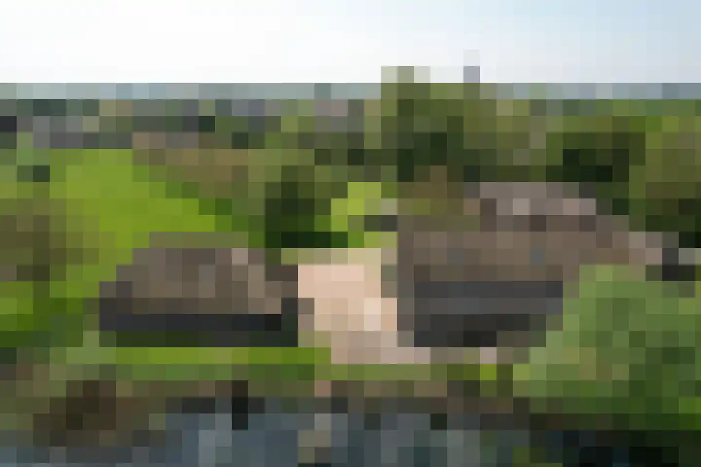 Wielpad 2 Boven-Leeuwen thumbnail 52