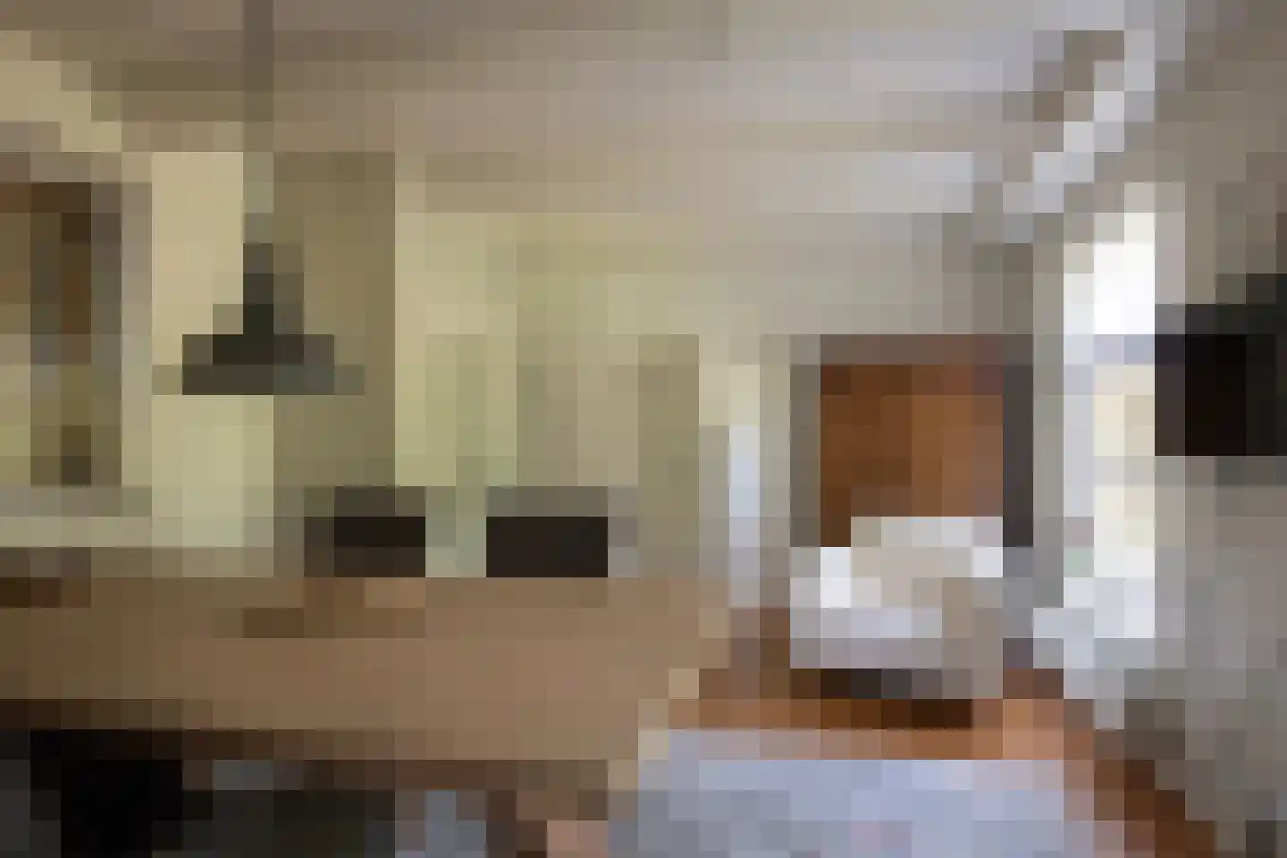 Wielpad 2 Boven-Leeuwen thumbnail 7