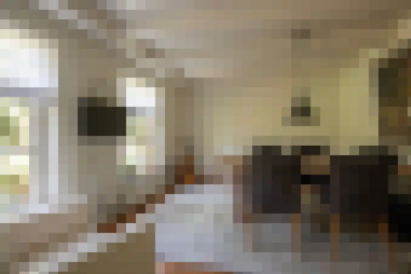 Wielpad 2 Boven-Leeuwen thumbnail 8