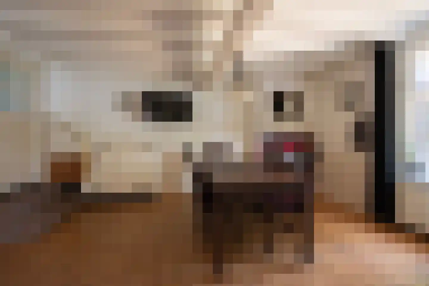 Wielpad 2 Boven-Leeuwen thumbnail 9