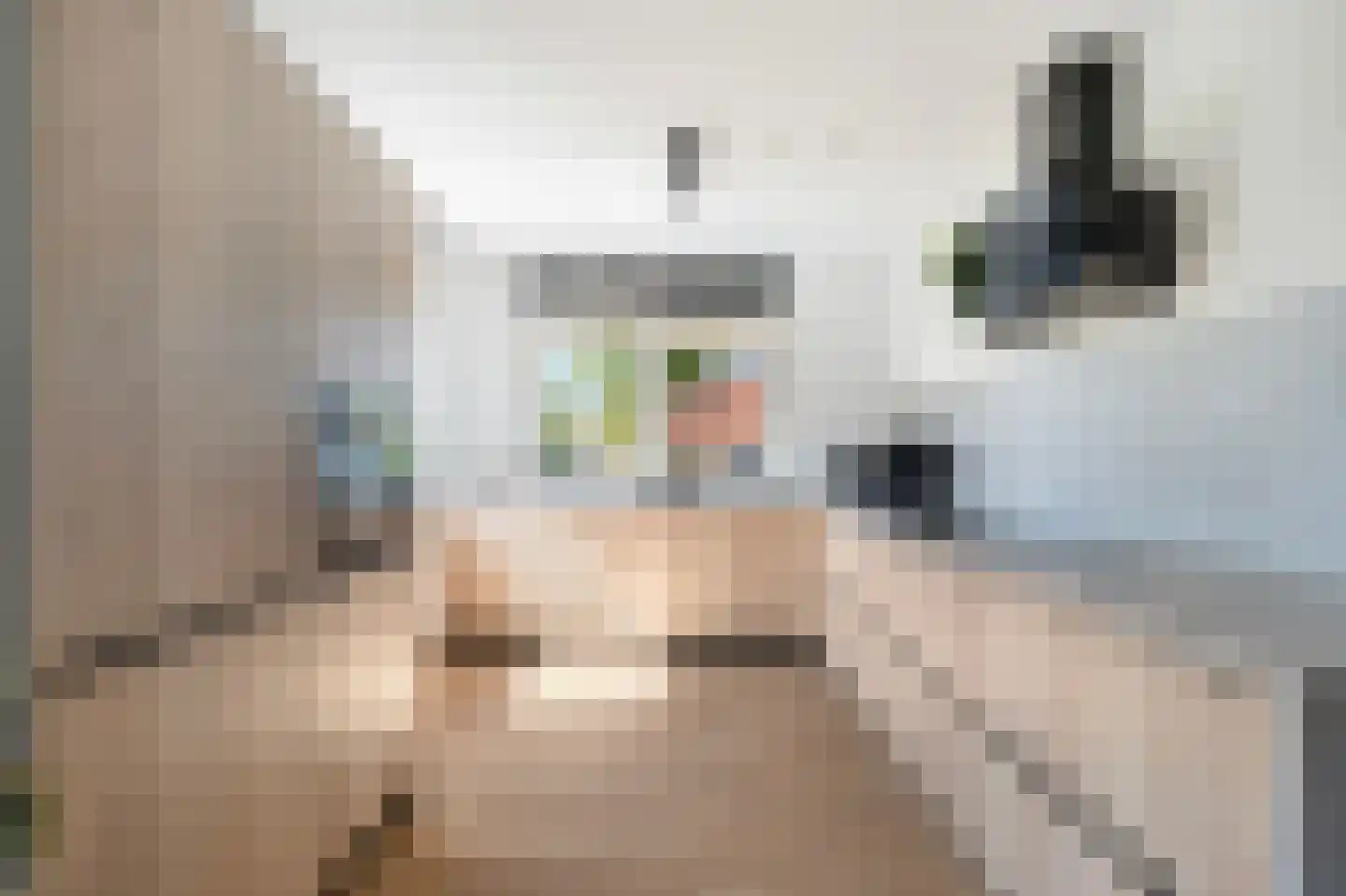 Wielploeg 2 't Zand thumbnail 15