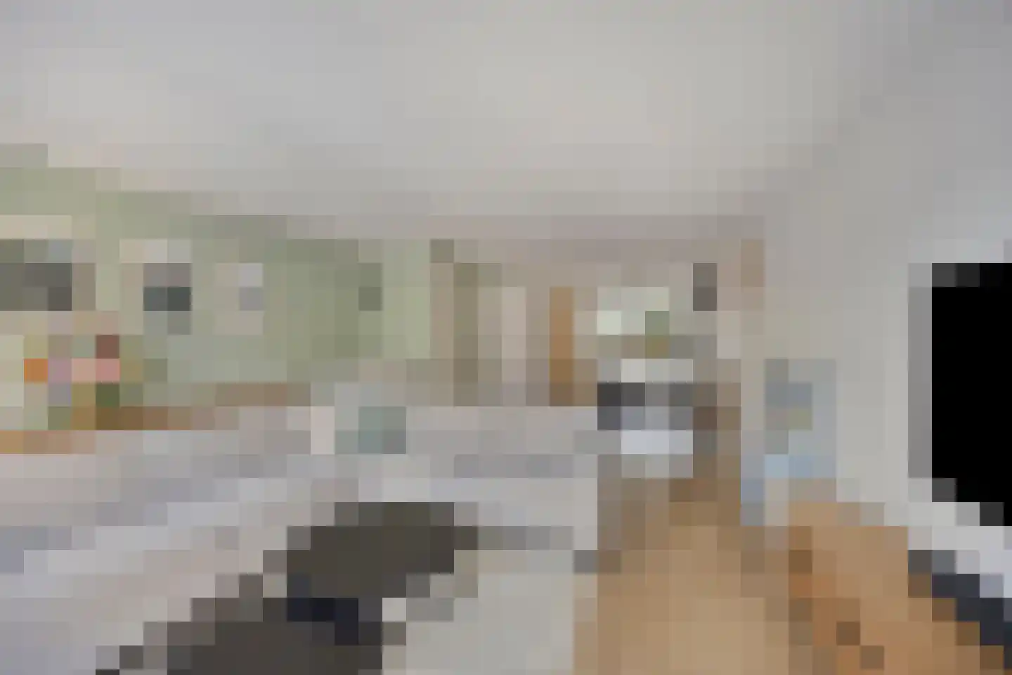 Wielploeg 8 't Zand thumbnail 15