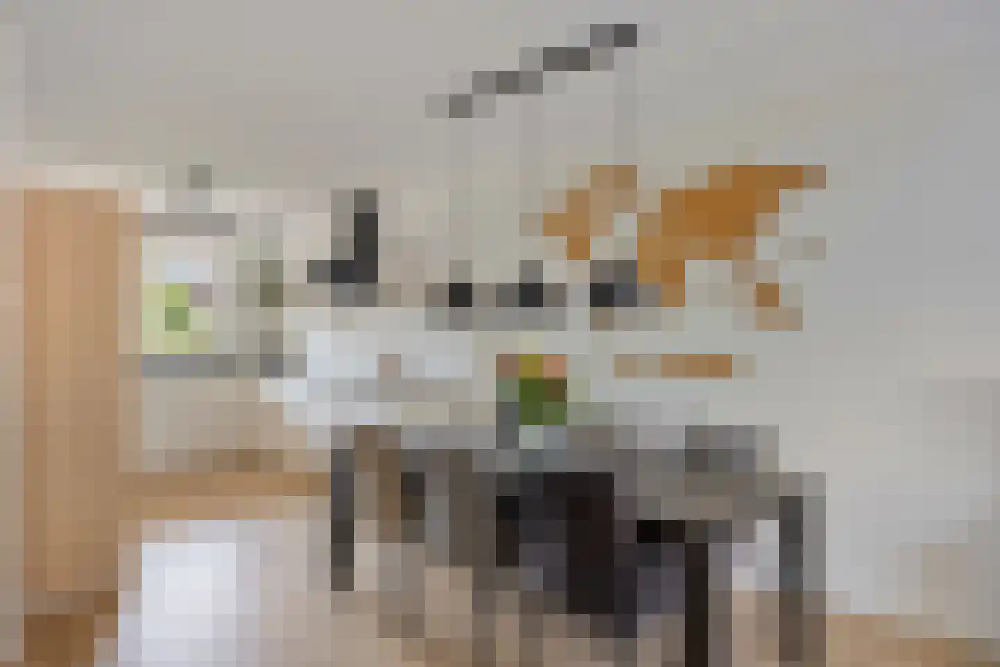 Wielploeg 8 't Zand thumbnail 16