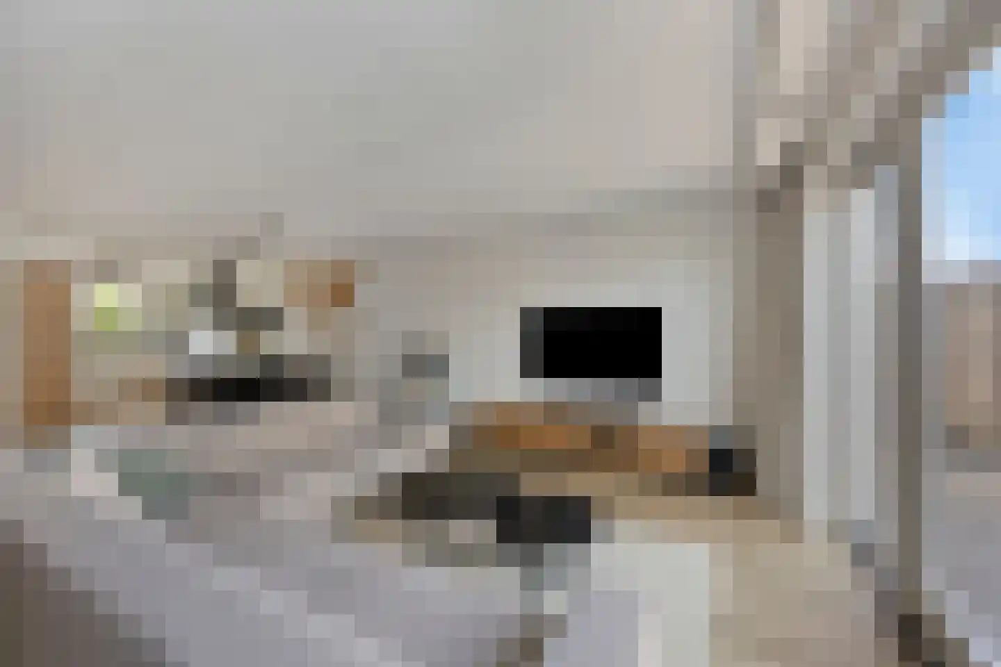 Wielploeg 8 't Zand foto 3