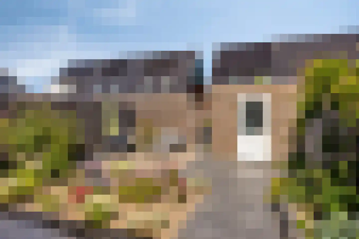 Wielploeg 8 't Zand thumbnail 34