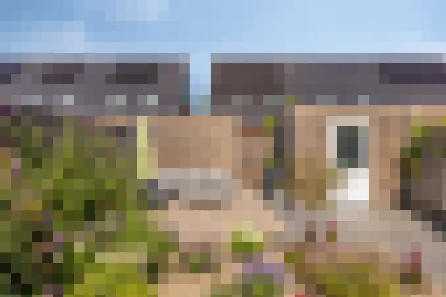 Wielploeg 8 't Zand thumbnail 35