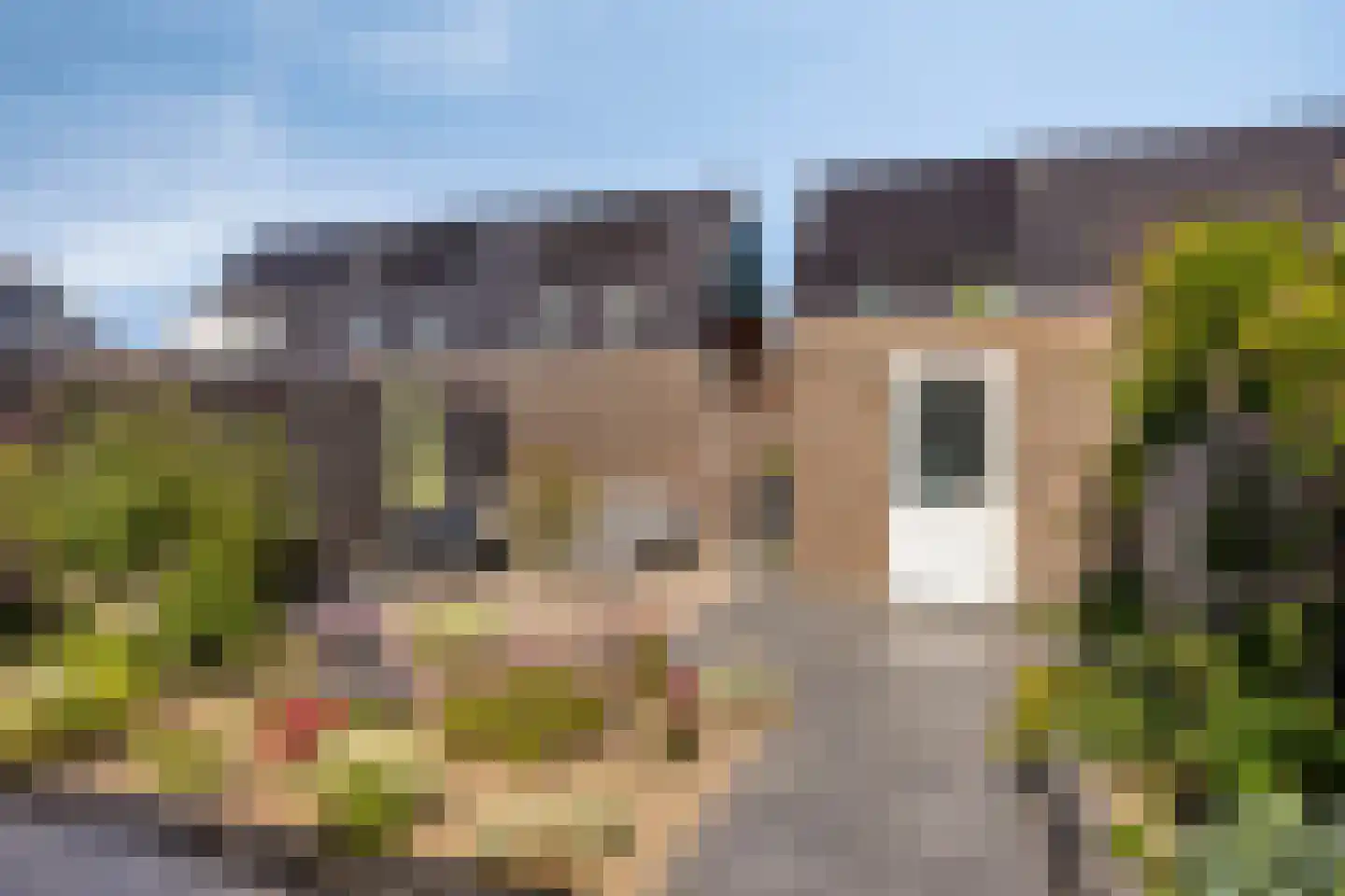 Wielploeg 8 't Zand thumbnail 6