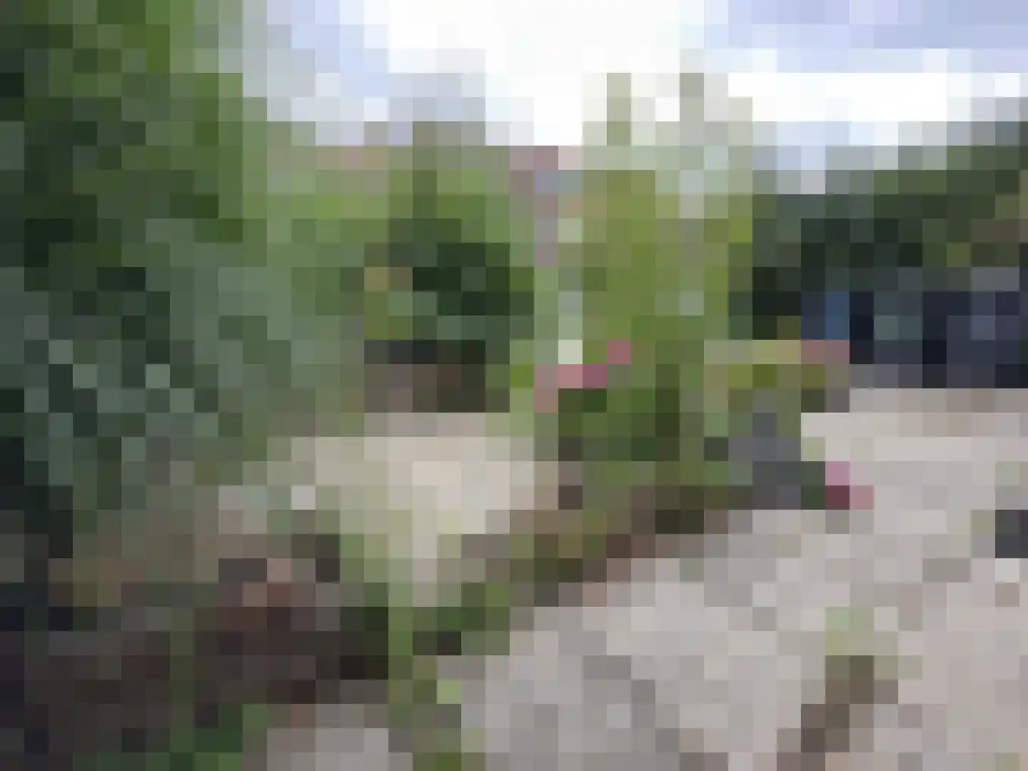 Wielrenstraat 9 Rotterdam thumbnail 18