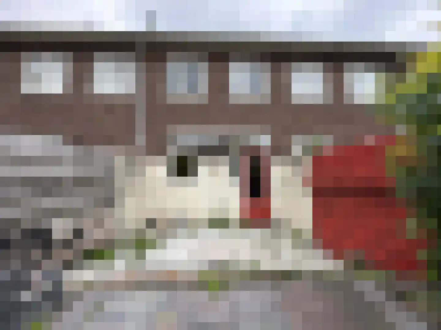Wielrenstraat 9 Rotterdam thumbnail 9