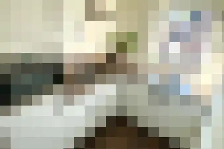 Wielsekade 11 B Lopik thumbnail 10
