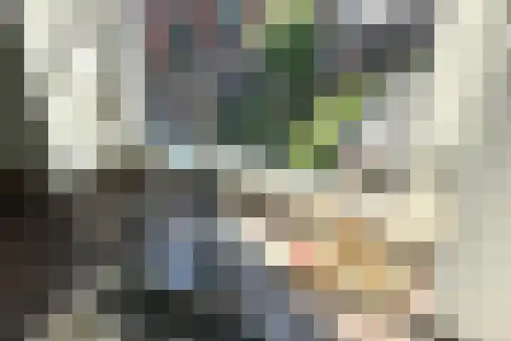 Wielsekade 11 B Lopik thumbnail 11