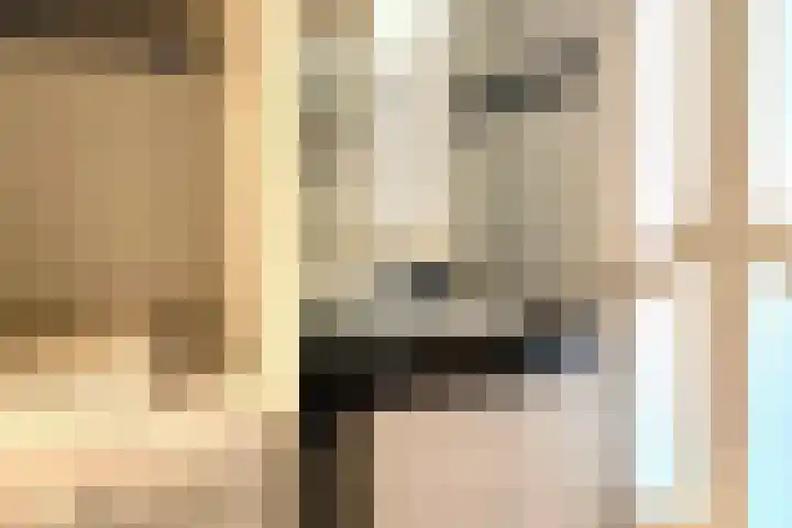 Wielsekade 11 B Lopik thumbnail 17