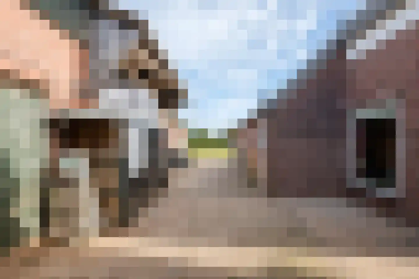 Wielseweg 29 Eck en Wiel thumbnail 10