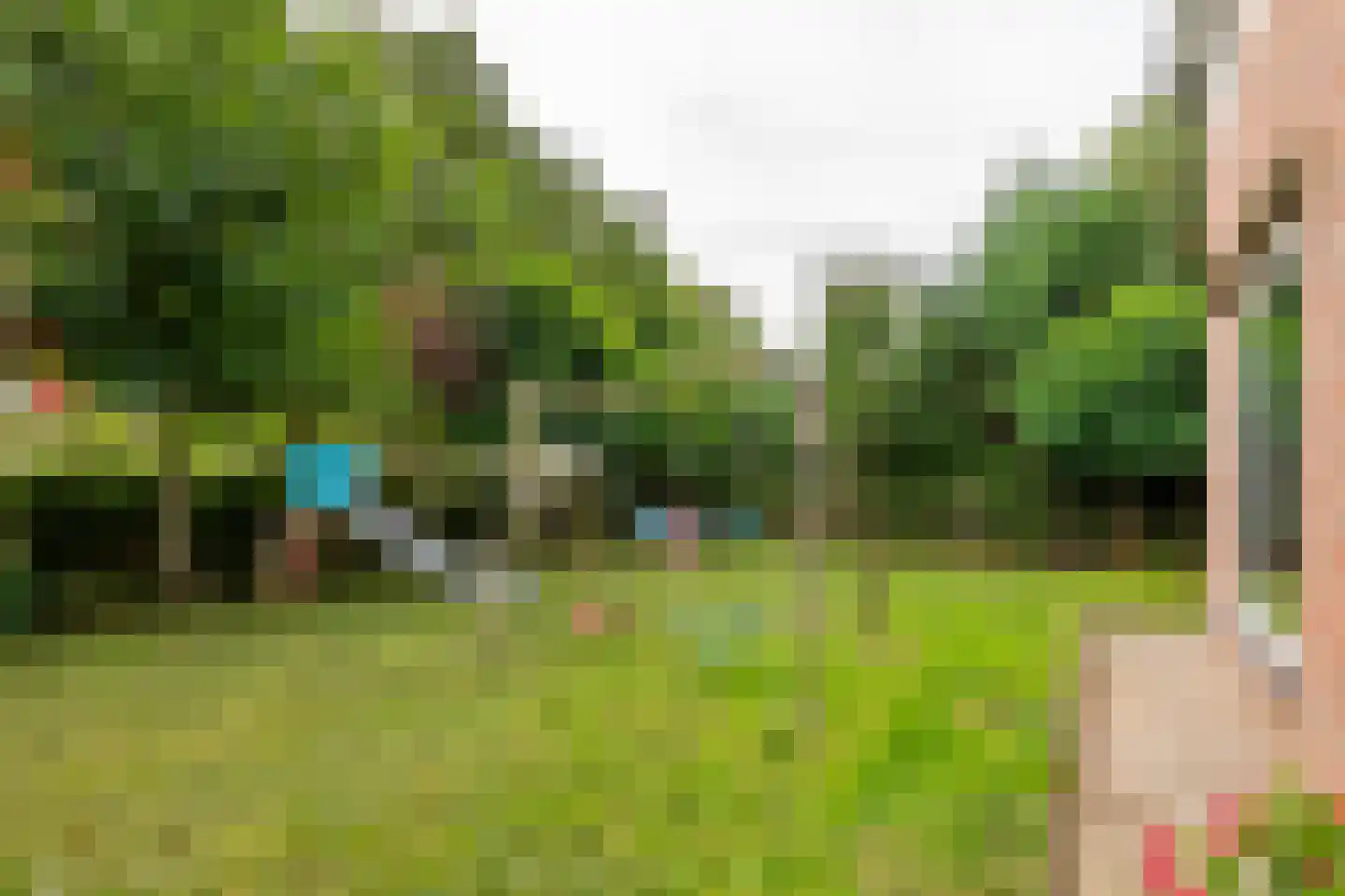 Wielseweg 29 Eck en Wiel thumbnail 17