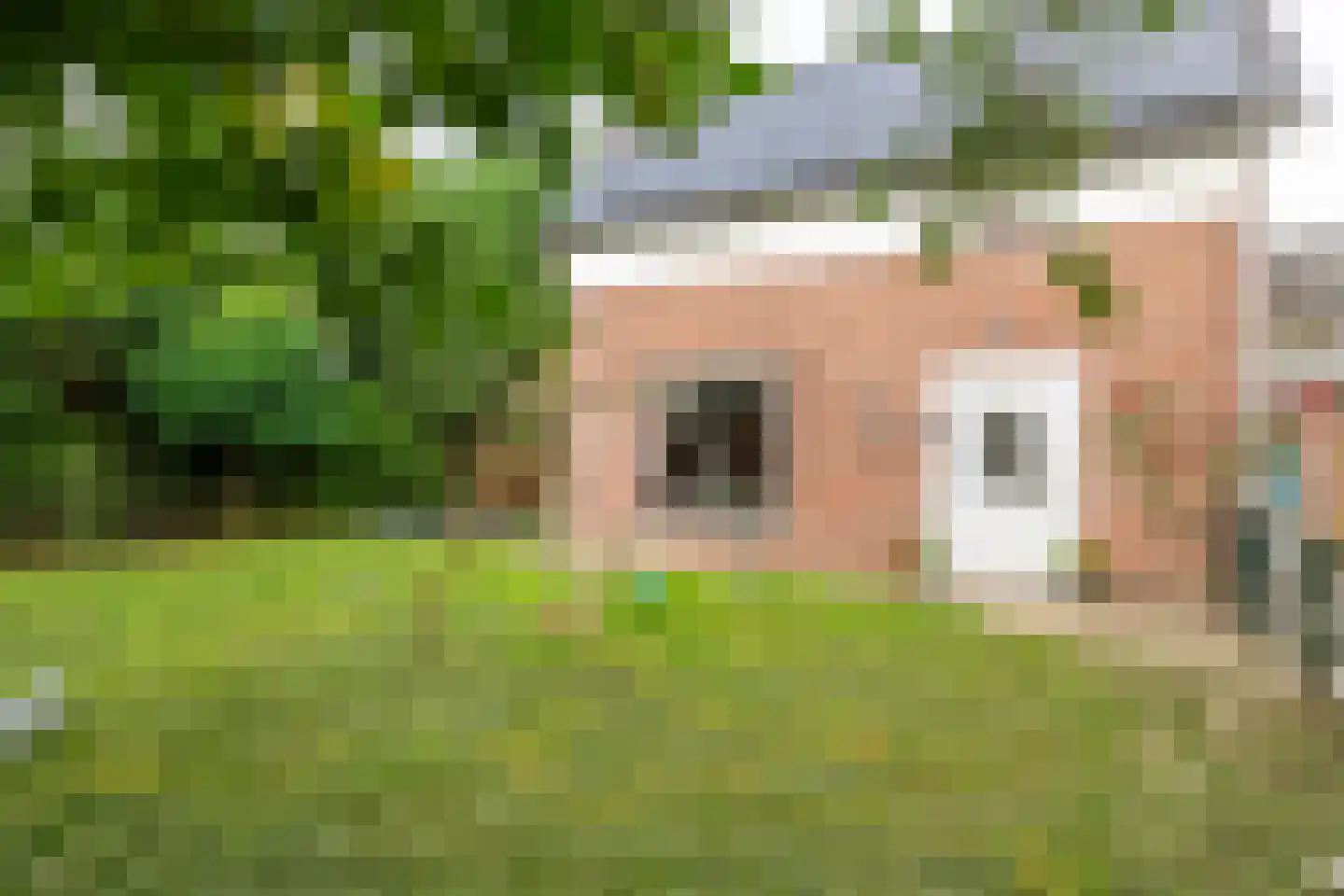 Wielseweg 29 Eck en Wiel thumbnail 18