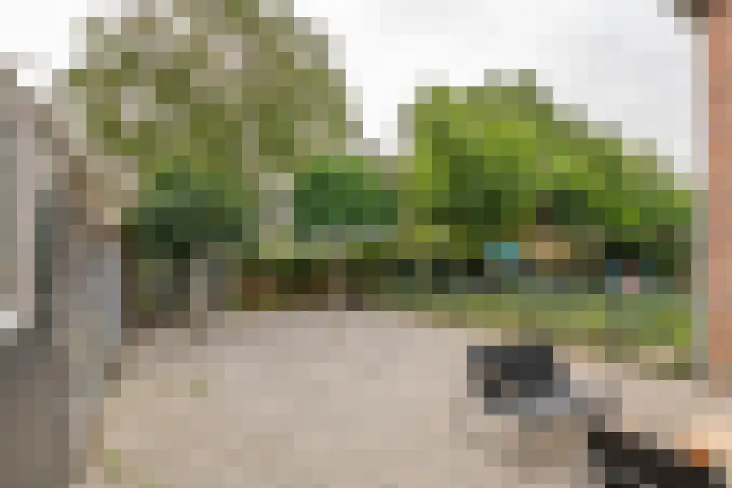 Wielseweg 29 Eck en Wiel thumbnail 20